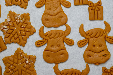 preparation of holiday cookies for christmas, uncooked cookies in the form of a new year's 2021 symbol cow or bull from raw dough