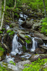 Fototapeta na wymiar Great Smoky Mountain waterfall landscape in vertical orientation. 