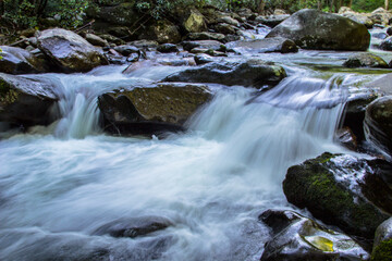 Fototapeta na wymiar Smoky Mountain Stream. Roaring Fork River and rushes through the Great Smoky Mountains National Park in Tennessee. 