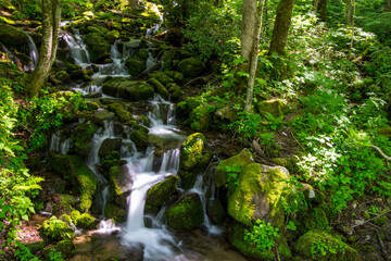 Smoky Mountain Spring Waterfall Landscape. Rushing waterfall through a lush green Great Smoky Mountains National Park forest. 