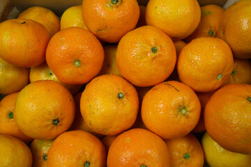 Close up of many ripe raw orange mandarins for natural food background (focus on center)
