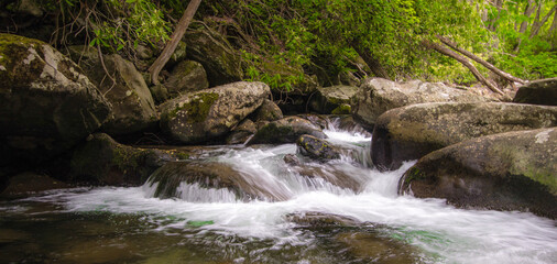 Fototapeta na wymiar Waterfall Panorama. Great Smoky Mountain National Park waterfall in panoramic orientation. 