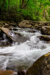 Great Smoky Mountain waterfall and stream in vertical orientation. 