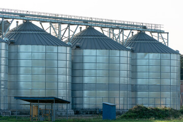 silver silos on agro manufacturing plant for processing drying cleaning and storage of agricultural products, flour, cereals and grain. Large iron barrels of grain. Granary elevator