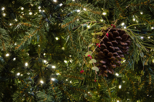 Christmas Background. Pine cone on a Christmas tree with clear white LED string lights.