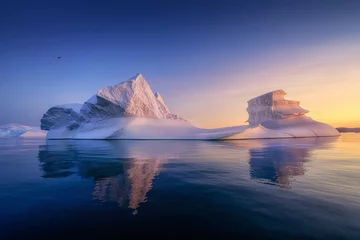 Foto op Plexiglas floating glaciers in the rays of the setting sun at polar night with birds © Jaro