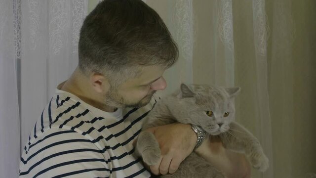 Man stroking his cat and talk with it. Close-up of cat's happy face.  Close-up of cat's stroking  face. 