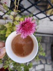 cup of tea + flower + Nature = happiness