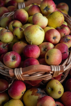 Assorted apple crop in basket, natural light photo, top view