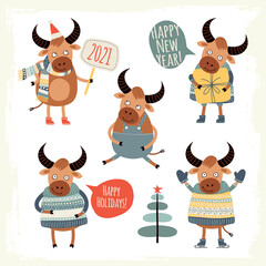 Template greeting cards or invitations with bulls. Symbol of the Year