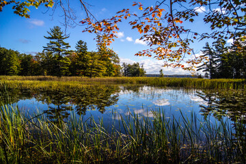 Blue sky reflections in the protected wetlands of Ludington State Park in Michigan. 