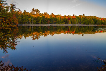 Fall colors reflected in the waters of Lost Lake along boardwalk hiking trail in Ludington State Park in Michigan.