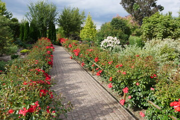 Botanischer Garten in Mecklenburg-Vorpommern als Traumgarten, Staudengarten und märchenhaften Park