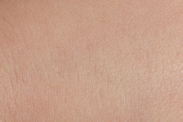 Pores on young human skin background