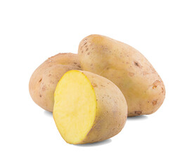 Potato vegetable an isolated on white background