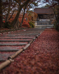 京都府 毘沙門堂門跡 紅葉