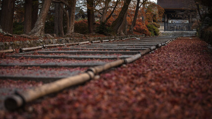 京都府 毘沙門堂門跡 紅葉