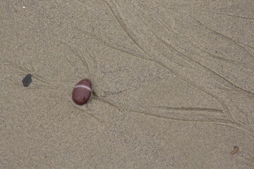 Canto rodado en arena de playa.