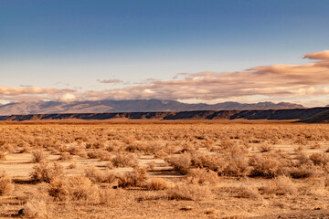Fototapeta na wymiar USA, NV, the 23 of November 2020, Nevada desert landscape. 