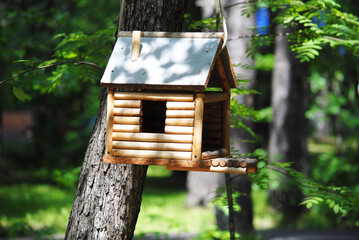 wooden bird house