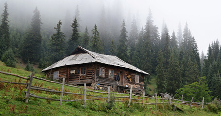 Log Cabin at the edge of a forest in the Carpathian mountains