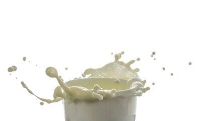 Milk drops and splashes white background