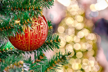 Fototapeta premium Decorations of Christmas. Colorful ball on green branch o christmas tree with bokeh of lights on background.