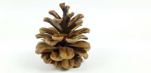 Kolorowe ozdoby świąteczne, szyszki, wiklinowe kule, świerk.