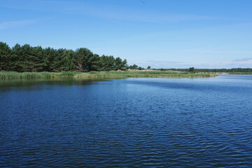 Naturschutzgebiet Darßer Ort: Naturreservat, See, Gewässer, Brackwasser und Urwald an der Ostsee in Mecklenburg-Vorpommern
