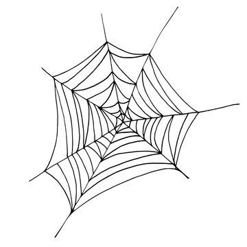 Vector illustration spider web isolated on white background. Decoration element.