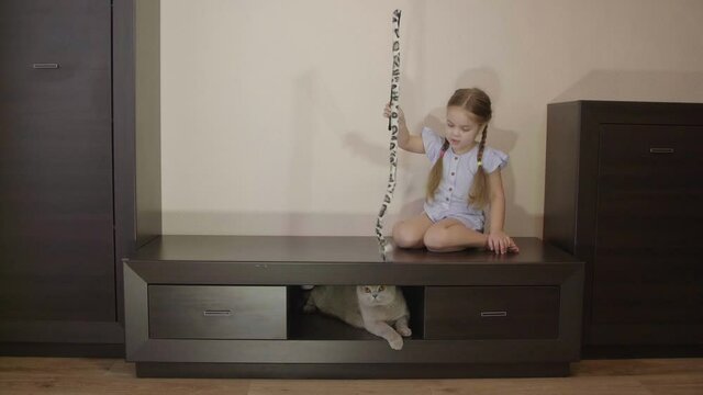Child and pet at home. Small cute child playing with big fluffy cat. Domestic animal and kid friendship. Cozy scene, lifestyle.
