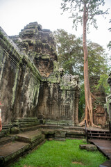 Та Prohm is the temple, it rains in the rainy season.The preserved symbiosis of stone and wood allows us to see Ta Prohm in this form.(Cambodia, 04.10. 2019).