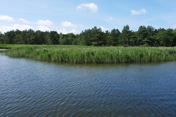 See im Naturpark Darßer Ort auf Halbinsel Darß mit Wanderweg, Bohlenweg, Dünen, Dünenlandschaft, Brackwasser, Naturreservat, Sanddünen, Kiefern, Urwald, Sandweg, Weg, Pfad und Sandpfad an der Ostsee