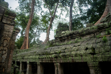 Fototapeta na wymiar Та Prohm is the temple, it rains in the rainy season.The preserved symbiosis of stone and wood allows us to see Ta Prohm in this form.(Cambodia, 04.10. 2019).