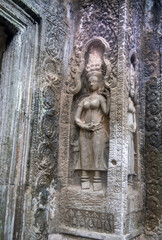 Та Prohm is the temple, it rains in the rainy season.The preserved symbiosis of stone and wood allows us to see Ta Prohm in this form.Bas-relief.(Cambodia, 04.10. 2019).