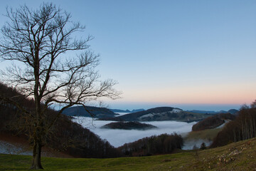 Der Nebel liegt &uuml;ber dem Tal