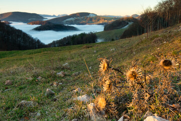 Sch&ouml;ner Sonnenaufgang
