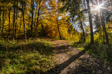 Wonderful autumn hike near Koenigseggwald in Upper Swabia