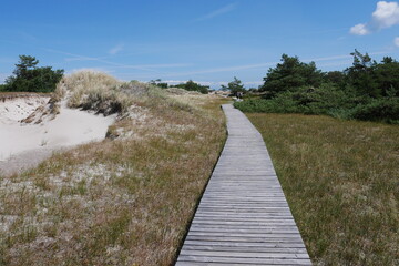 Darßer Ort auf der Halbinsel Darß mit Dünen, Brackwasser, Naturreservat, Sanddünen, Kiefern und Urwald.