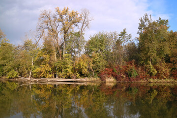Obraz premium autumn along the river