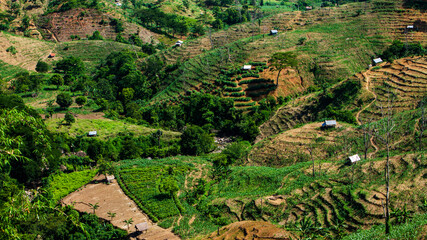 Fototapeta na wymiar Traditional farmer's fields in the hills