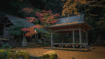 japanese garden in autumn