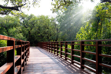 Landmark of Rayong Thailand. Wooden bridge watching the mangrove forest by the water. Red wooden...