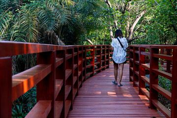 Landmark of Rayong Thailand. Wooden bridge watching the mangrove forest by the water. Red wooden...