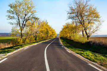 Beautiful road in the beautiful trees. A country road in the fall. Autumn in the park. Empty race track.
