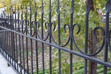 Beautifully inlaid wrought iron fences