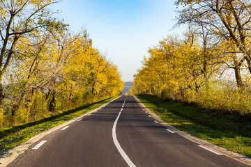 Beautiful road in the beautiful trees. A country road in the fall. Autumn in the park. Empty race track.