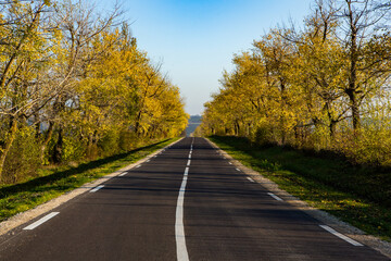 Beautiful road in the beautiful trees. A country road in the fall. Autumn in the park. Empty race track.