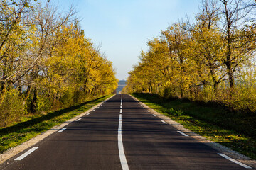 Fototapeta premium Beautiful road in the beautiful trees. A country road in the fall. Autumn in the park. Empty race track.