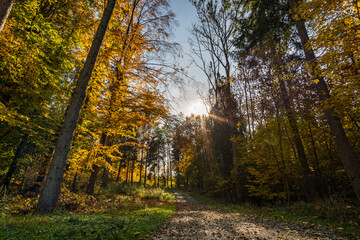 Wonderful autumn hike near Koenigseggwald in Upper Swabia